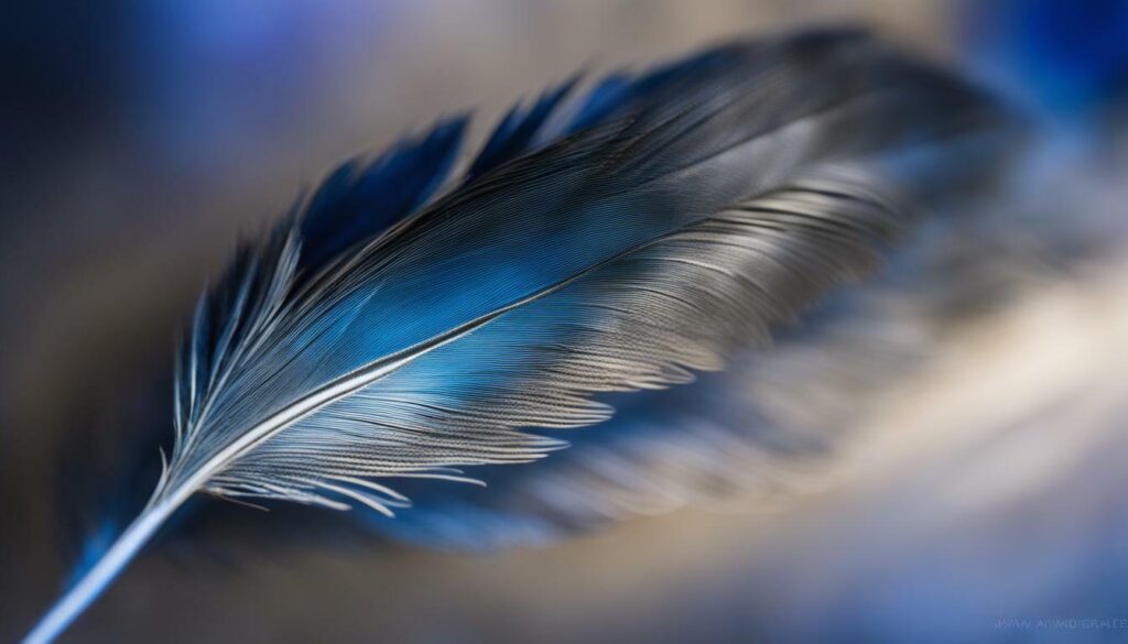 magical blue jay feathers